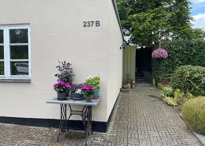Jonstrupvejens Lejl D Apartment